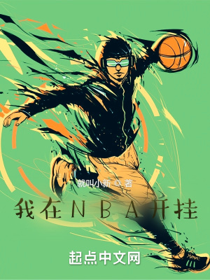 我在nba打球