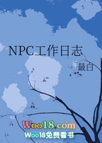 npc的工作内容