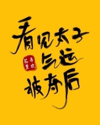 看见太子气运被夺后格格党