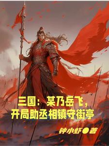 三国:开局融合岳飞