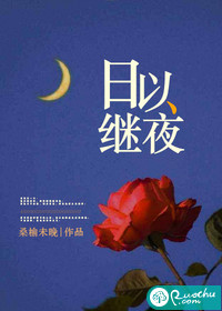 日以继夜小说完整版