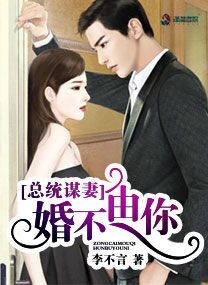 陆少谋妻:婚不由你李不言